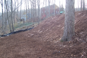 Adding 600 cubic yards of Fill