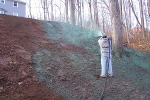 Adding 600 cubic yards of Fill