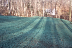 Adding 600 cubic yards of Fill