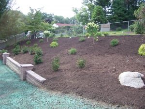 Backyard Hillside Garden