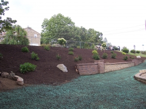 Backyard Hillside Garden