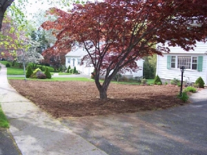 Homeowner Project Help