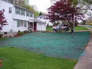 Homeowner Project Help