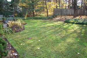 Correcting a Flooding Backyard