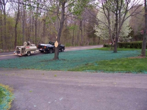 A Lawn on Shady Property