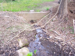 Clogged Underground Drain Repair 