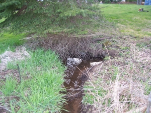 Clogged Underground Drain Repair 