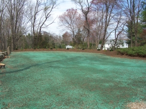 Skating Rink Prep