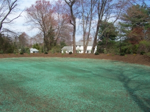 Skating Rink Prep