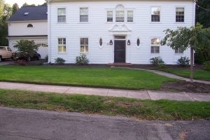 Replanting Overgrown Landscape