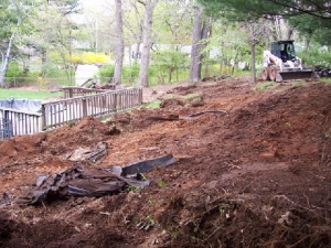 Backyard Regrading