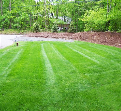 Country Landscaping - Testimonials