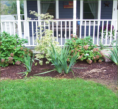 Country Landscaping - Testimonials